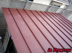 ���_��������